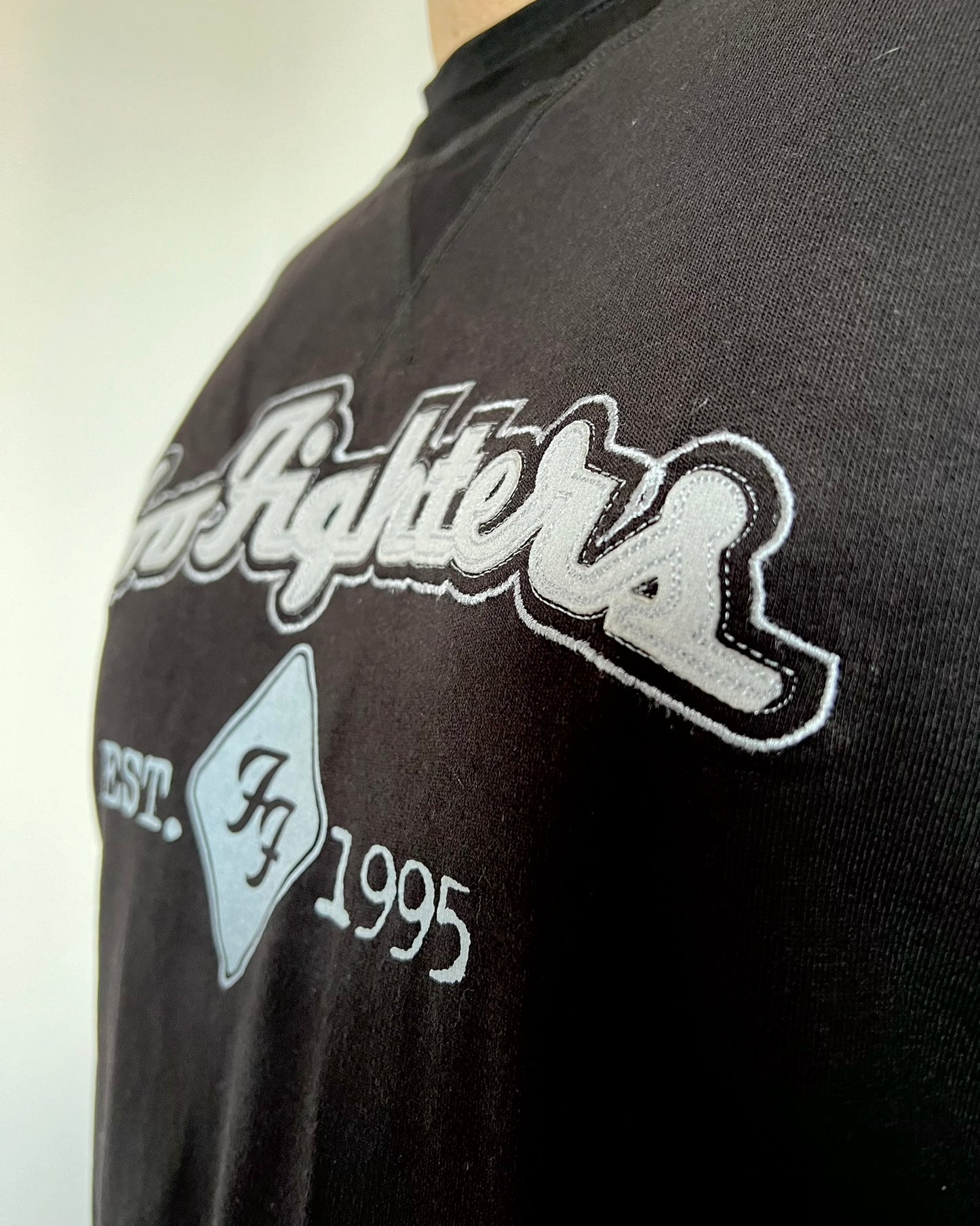 Buzo Unisex Foo Fighters
