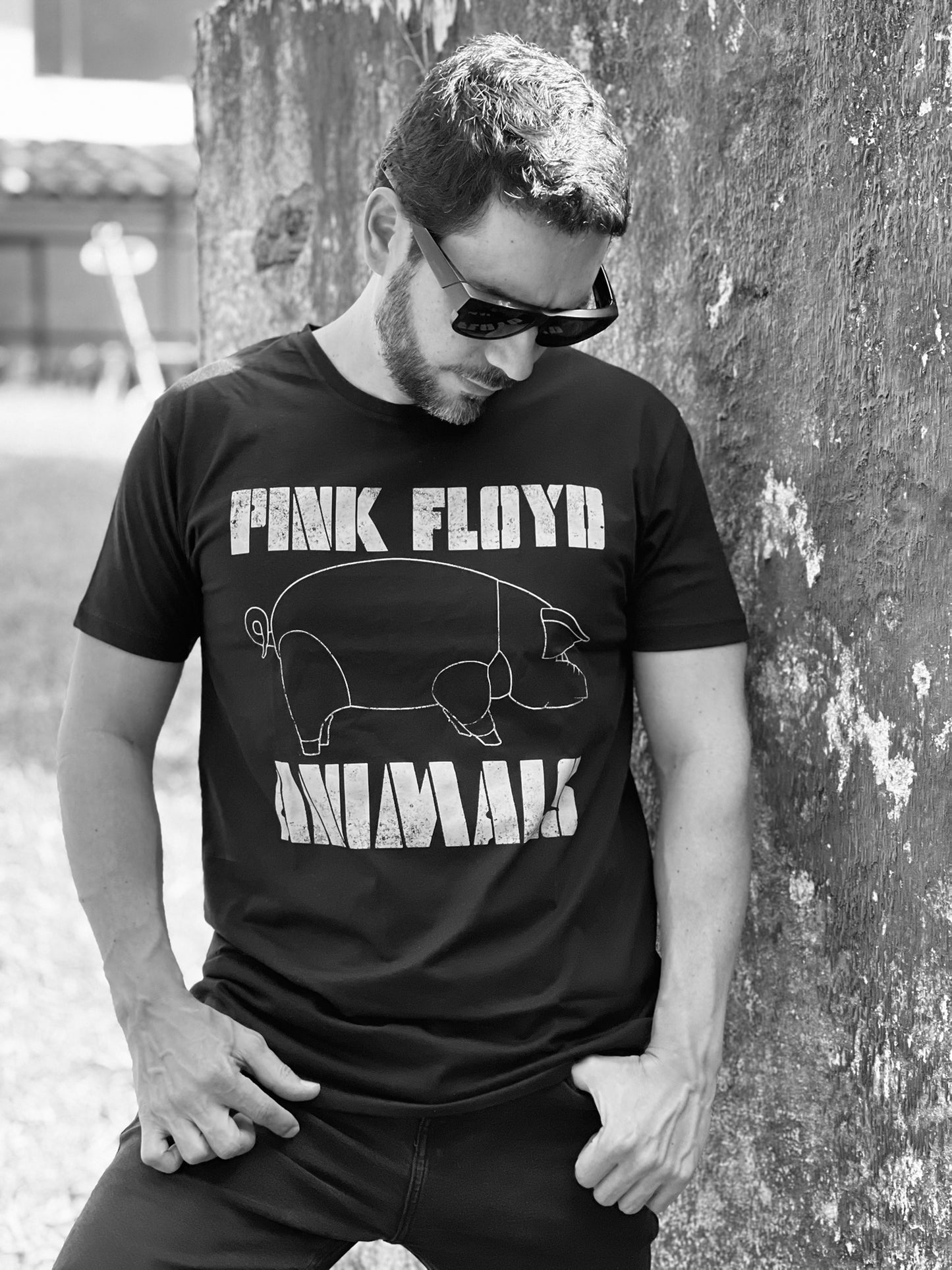 Camiseta Hombre Pink Floyd Animals