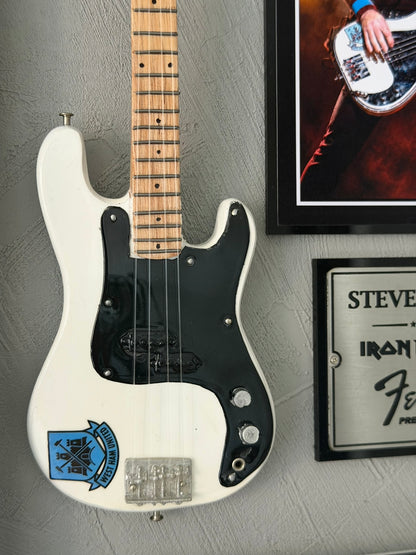 Cuadro Steve Harris