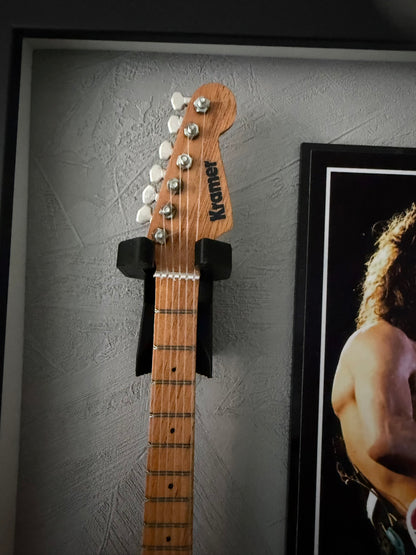Cuadro Eddie Van Halen