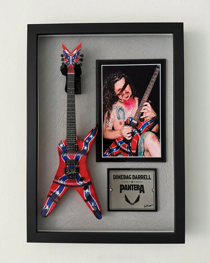 Cuadro Dimebag Darrell