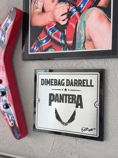 Cuadro Dimebag Darrell