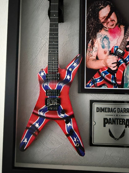Cuadro Dimebag Darrell