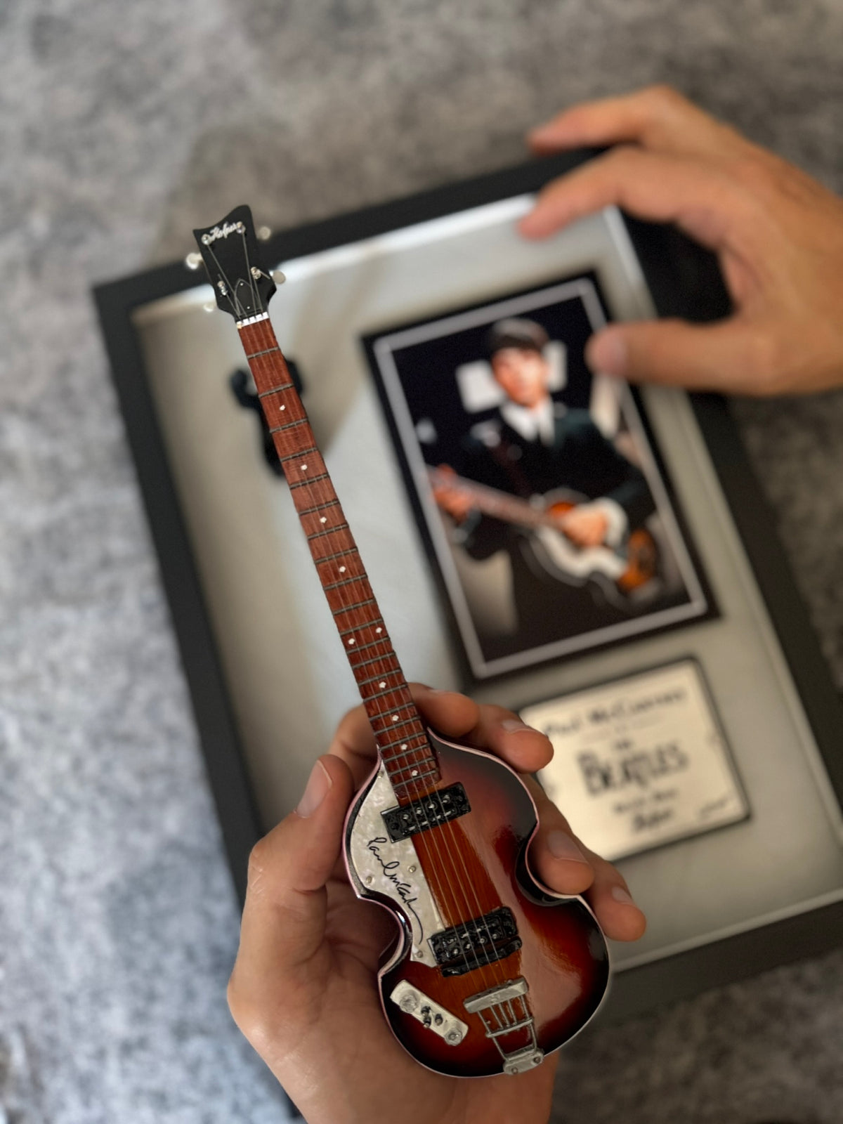 Cuadro Paul McCartney The Beatles